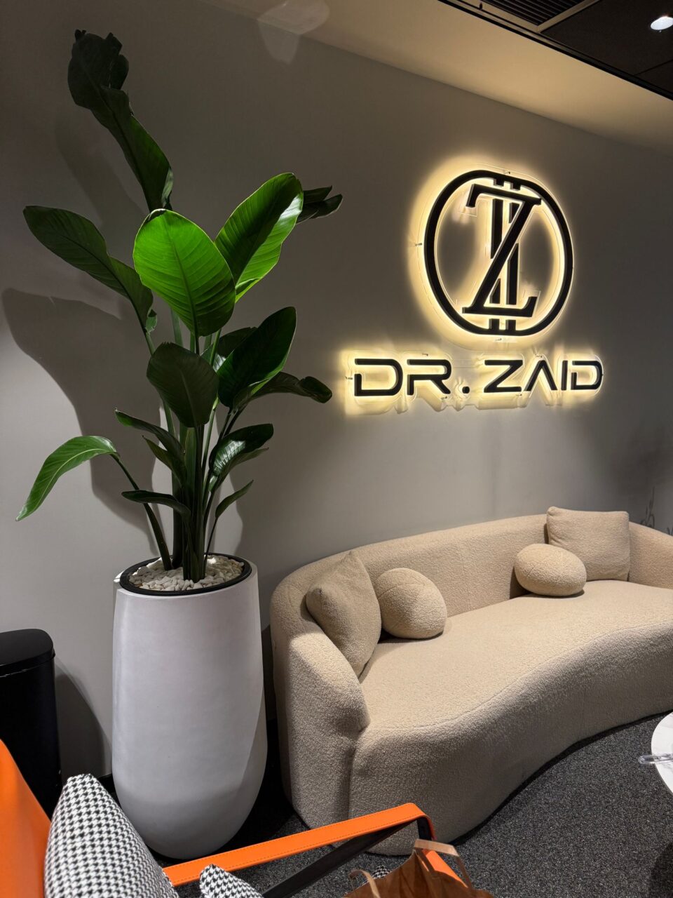 כד בטון 80 סמ SENSE בשילוב ציפור גן עדן טבעית גדולה