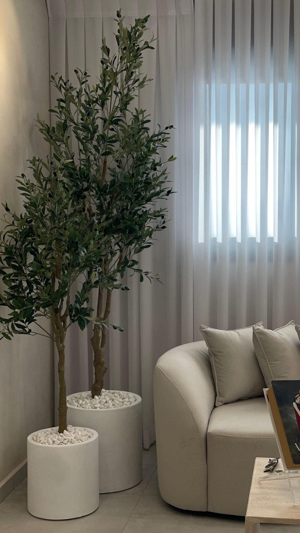 Cylinder set | olive tree