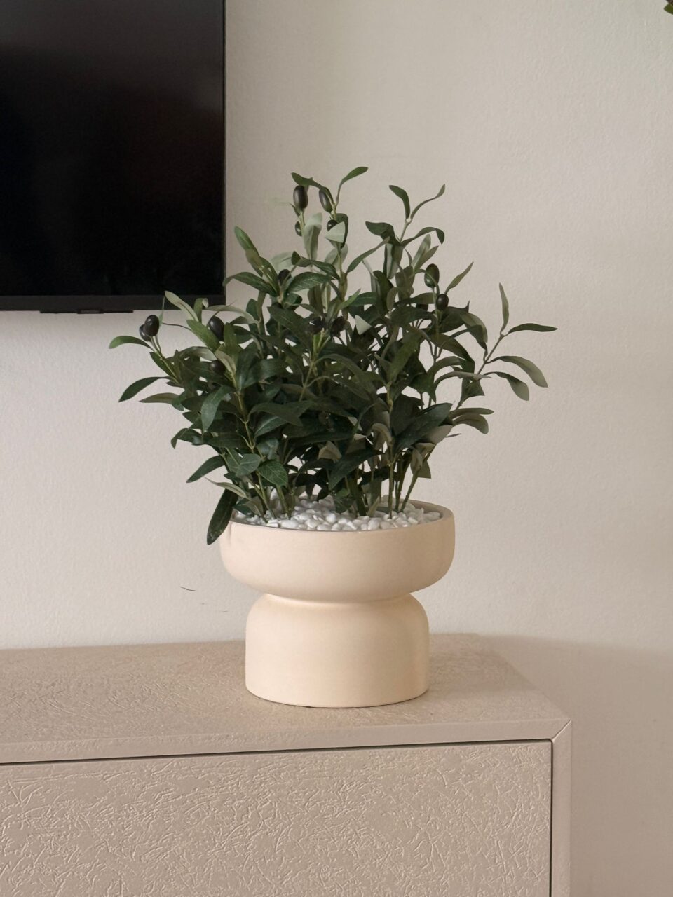 Eyar Bowl | Olive Tree