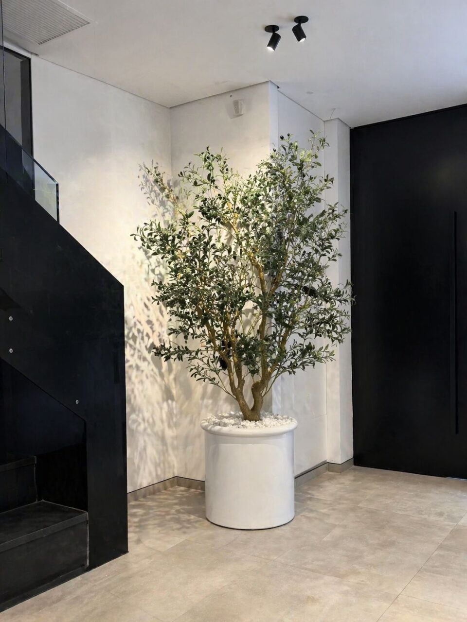 Kamila | Olive Tree