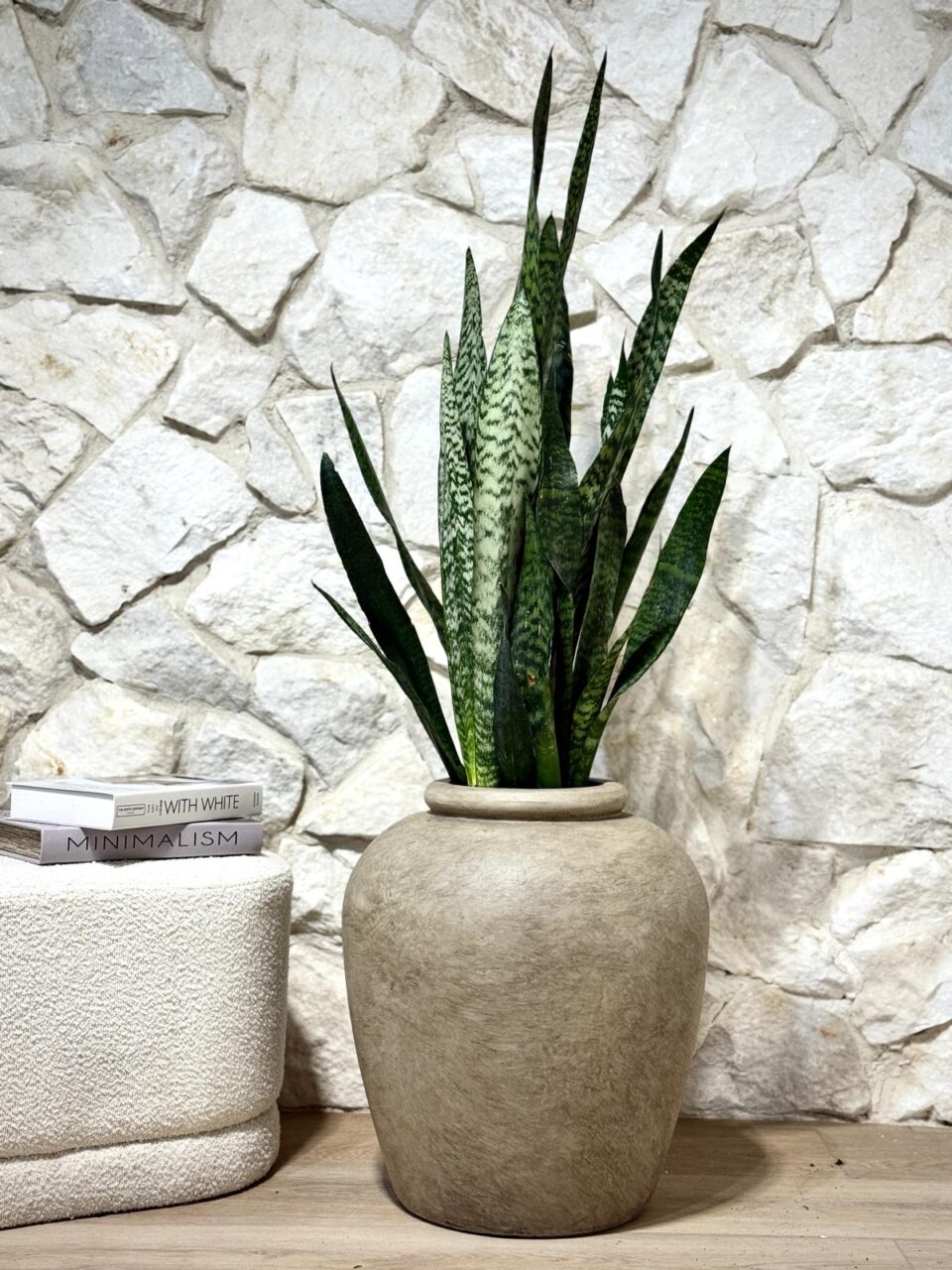 MILOS | סנסיווריה