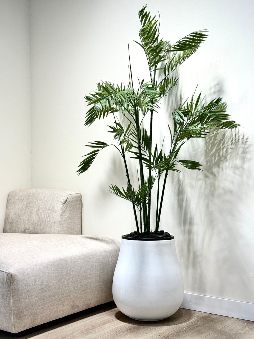 NOVO | דקל שיפריצי מלאכותי גדול