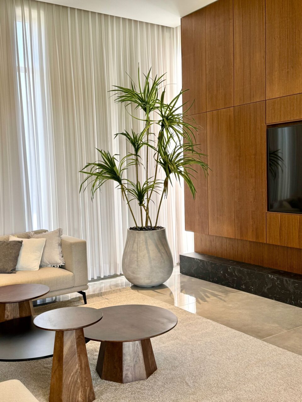 NOVO XL | יוקה ירוקה ענקית