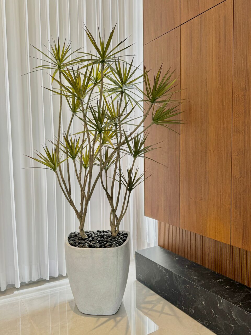 ERGON L | דרצנה מלאכותית ענקית כפולה