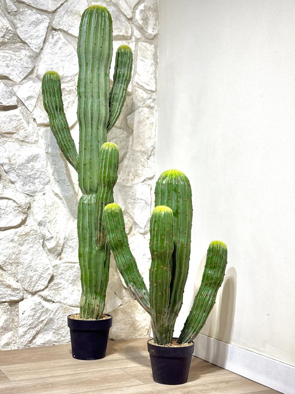 קקטוס מלאכותי מפוצל ענק