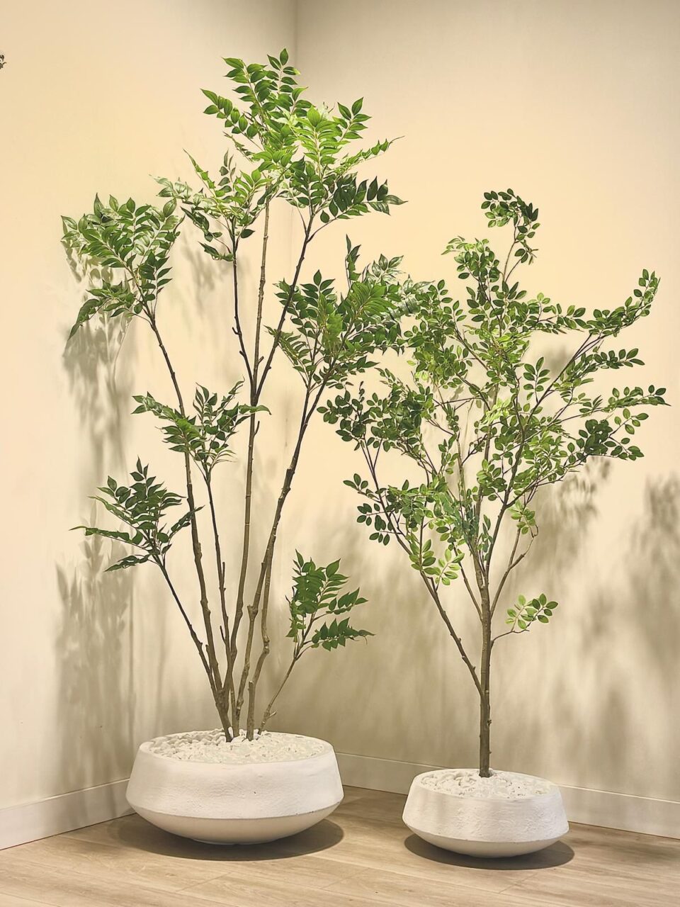 KIM | שרך מלאכותי