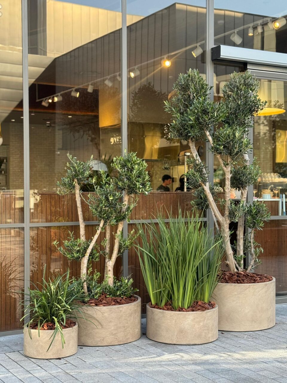 S-XL Cylinder bowl | חבילת מרפסת מיקס זית + עשבוני