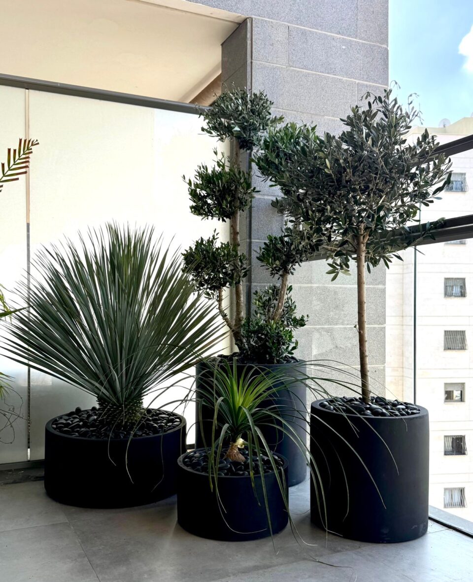 S-XL Cylinder  | חבילת מרפסת