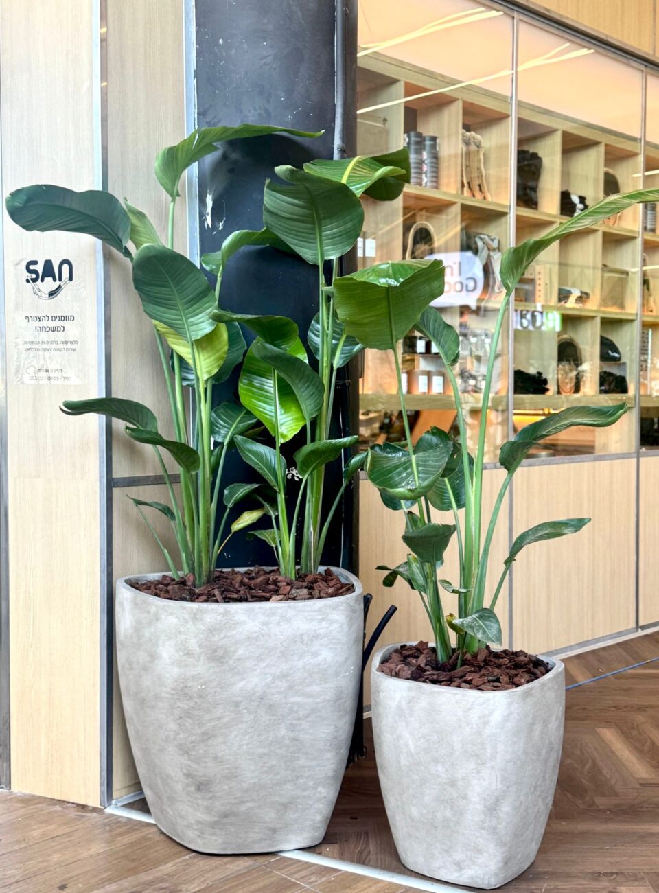 ציפור גן עדן | M– L Package