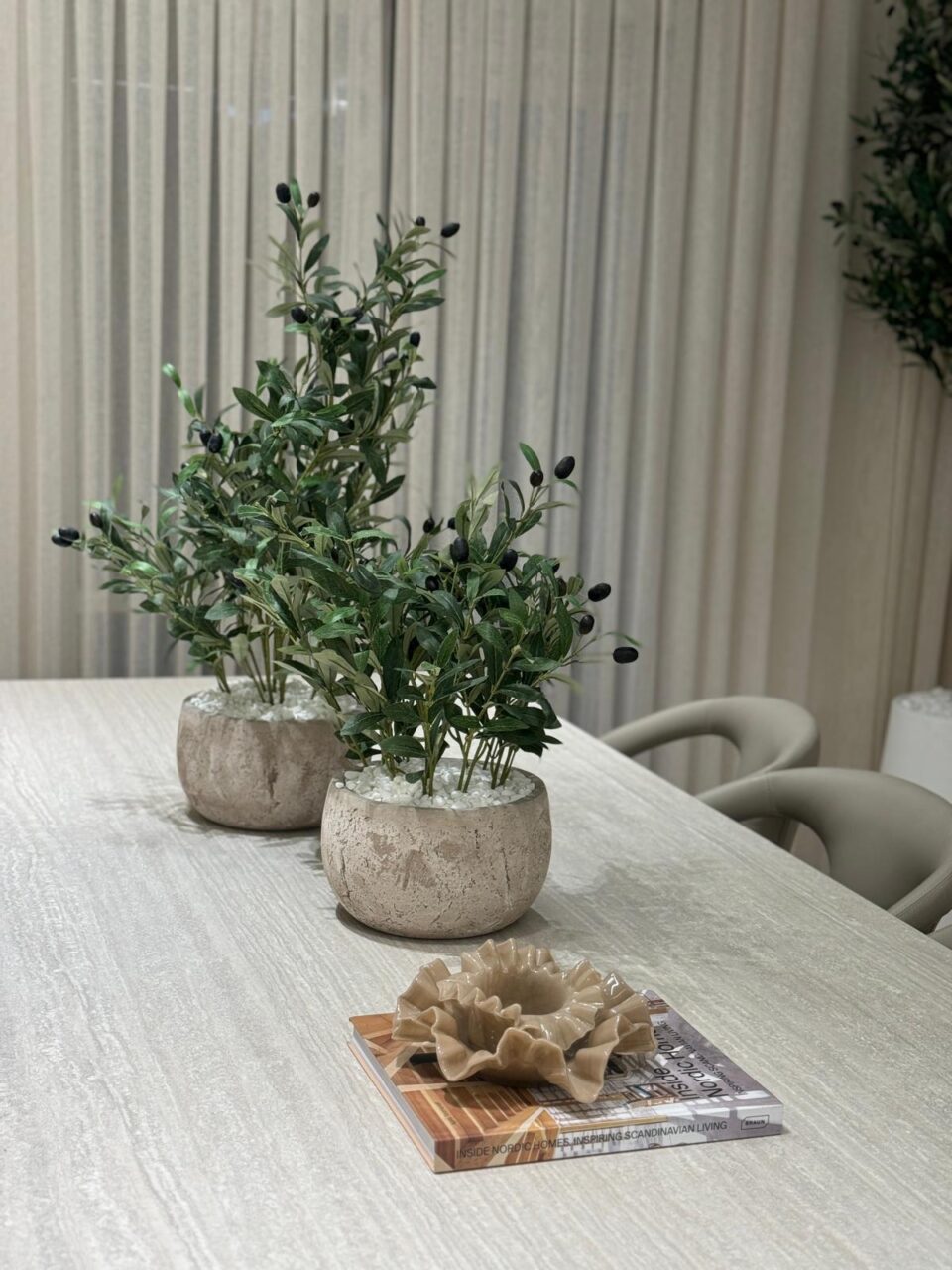 RIO SET | OLIVE TREE