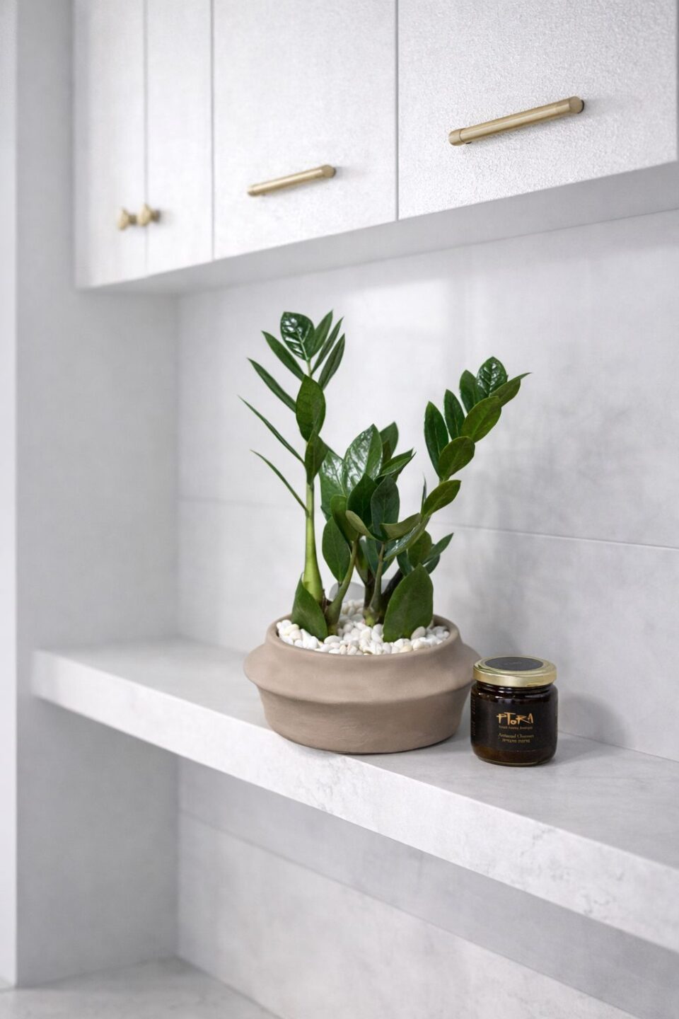 CABANA | זאמיה וחרוסת