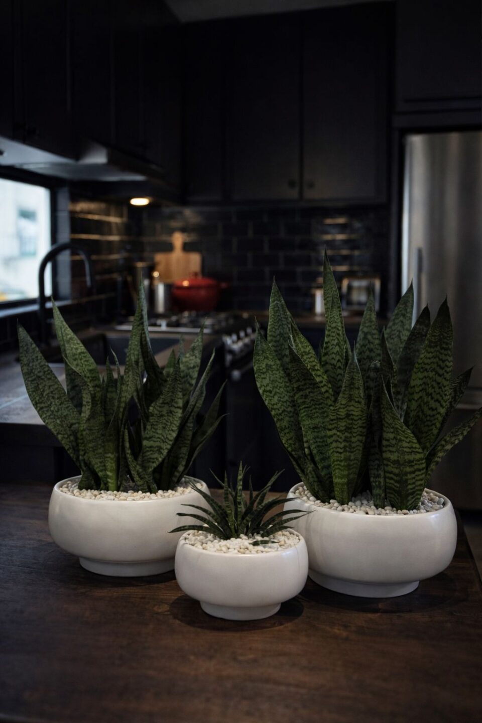 SET LUNA | מיקס סנסיווריות ירוקות טבעיות