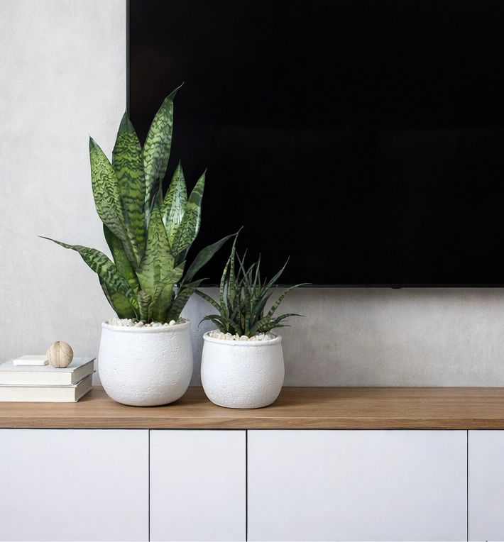 ARIA | מיקס סנסיווריות ירוקות טבעיות