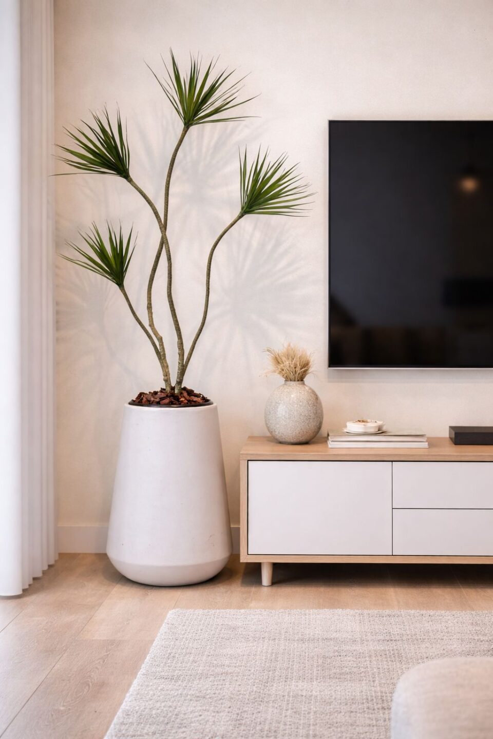 60 AVANI | דרצנה מלאכותית רביעייה