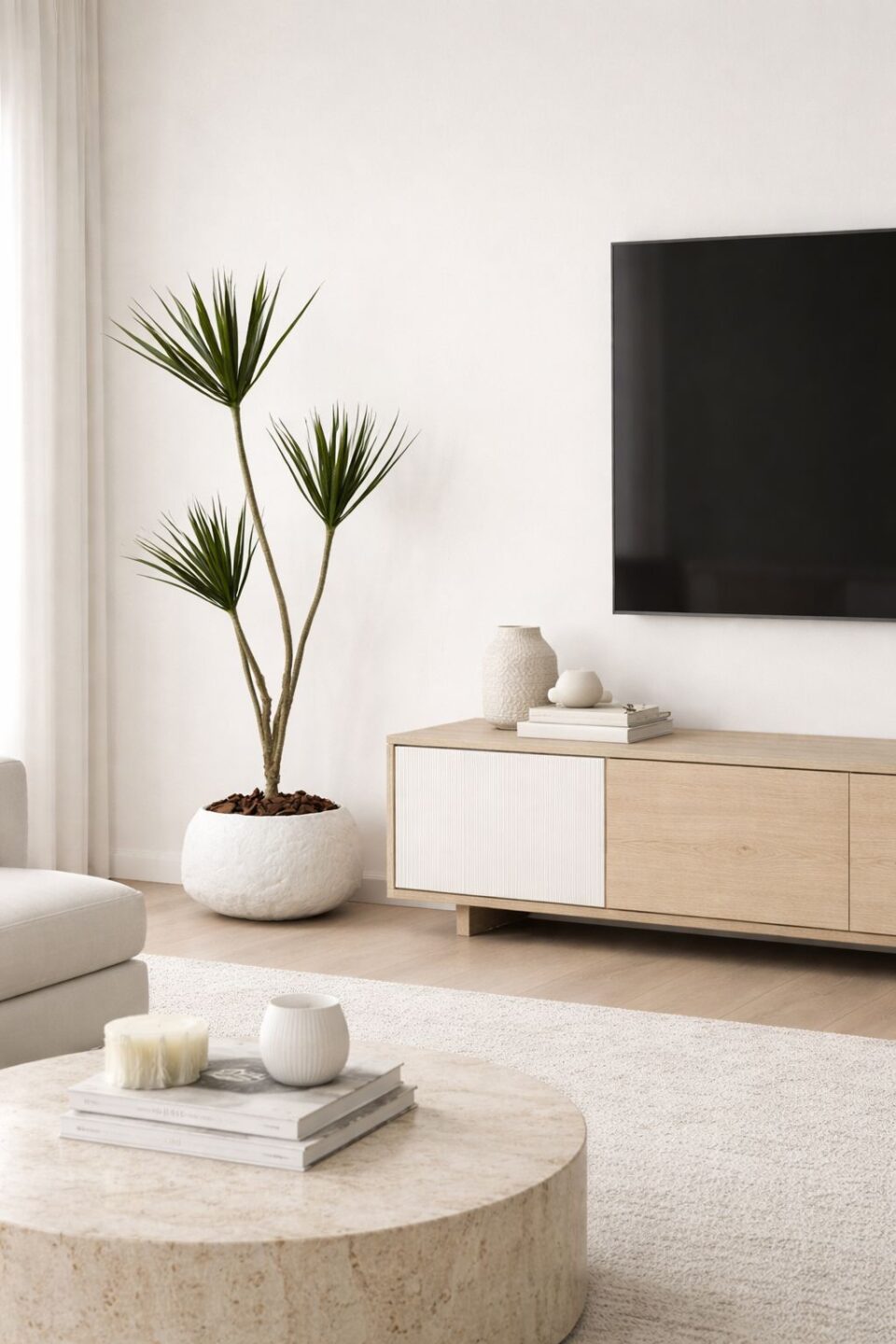 Reef | דרצנה מלאכותית רביעייה