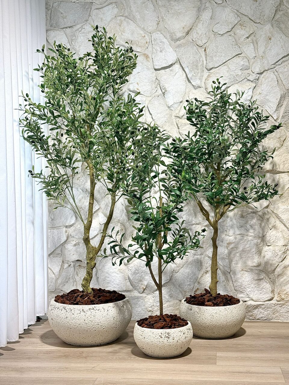 NIKOS SET | OLIVE TREE